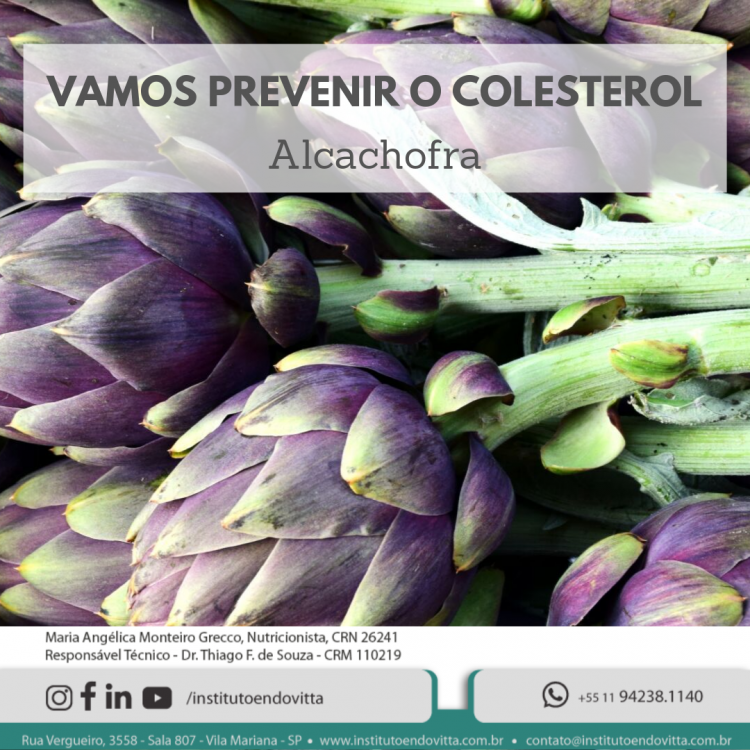 Vamos Prevenir O Colesterol Alcachofra Instituto Endovitta