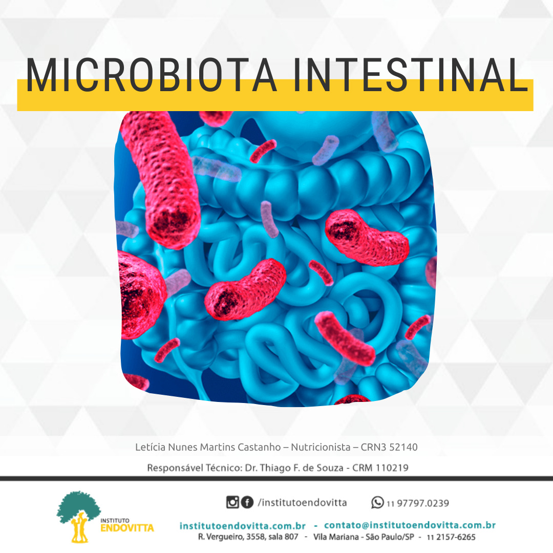 10 Fatos Microbiota Intestinal Instituto Endovitta 2539